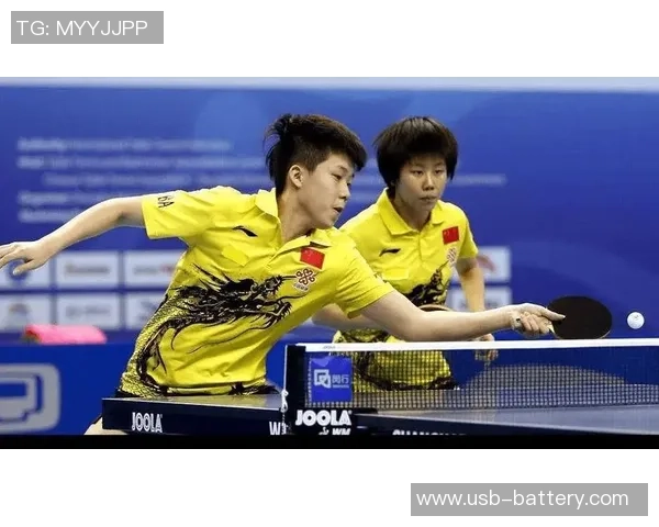 成都排球队灵活性引发热议球迷与专家各执己见探讨争议背后原因